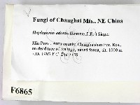 登錄號:F0006865藏品圖，第2張