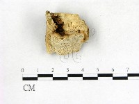 登錄號:F0006865藏品圖，第1張