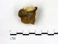 登錄號:F0006865藏品圖，第3張