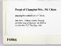 登錄號:F0006866藏品圖，第2張