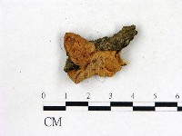 登錄號:F0006866藏品圖，第1張