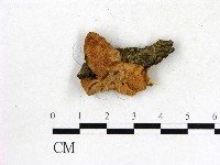 登錄號:F0006866藏品圖，第3張