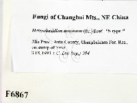 登錄號:F0006867藏品圖，第2張