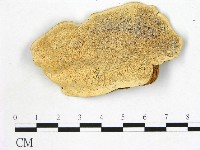 登錄號:F0006867藏品圖，第1張