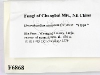 登錄號:F0006868藏品圖，第2張