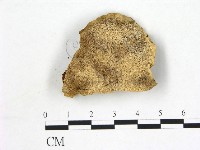 登錄號:F0006868藏品圖，第1張