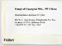 登錄號:F0006869藏品圖，第2張