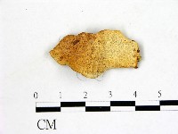 登錄號:F0006869藏品圖，第1張