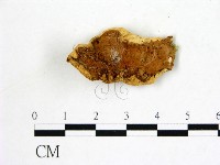 登錄號:F0006869藏品圖，第3張