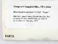 登錄號:F0006870藏品圖，第2張