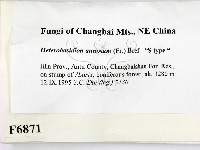 登錄號:F0006871藏品圖，第2張