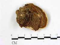 登錄號:F0006871藏品圖，第3張