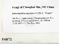 登錄號:F0006872藏品圖，第2張