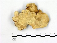 登錄號:F0006872藏品圖，第1張