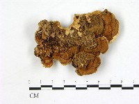 登錄號:F0006872藏品圖，第3張