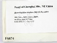 登錄號:F0006874藏品圖，第2張