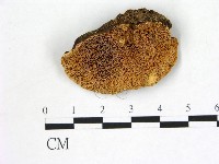 登錄號:F0006874藏品圖，第1張