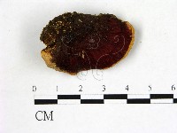 登錄號:F0006874藏品圖，第3張