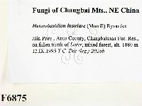 登錄號:F0006875藏品圖，第2張