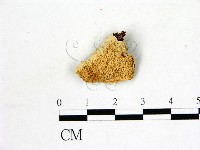 登錄號:F0006875藏品圖，第1張