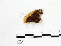 登錄號:F0006875藏品圖，第3張