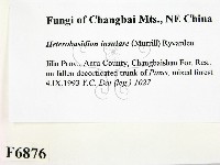 登錄號:F0006876藏品圖，第2張