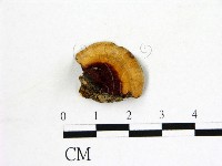 登錄號:F0006876藏品圖，第3張