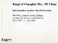 登錄號:F0006877藏品圖，第2張