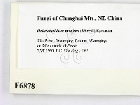 登錄號:F0006878藏品圖，第2張