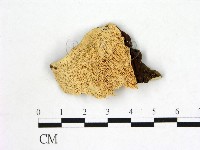 登錄號:F0006878藏品圖，第1張