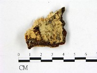 登錄號:F0006878藏品圖，第3張