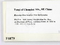 登錄號:F0006879藏品圖，第2張