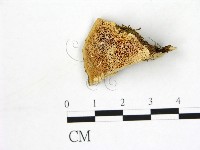 登錄號:F0006880藏品圖，第1張