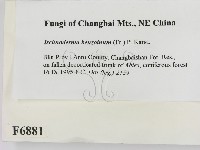 登錄號:F0006881藏品圖，第2張