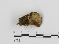 登錄號:F0006881藏品圖，第1張