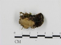 登錄號:F0006881藏品圖，第3張