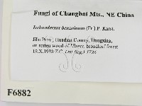 登錄號:F0006882藏品圖，第2張