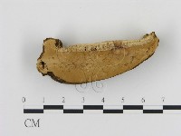 登錄號:F0006882藏品圖，第1張