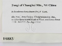 登錄號:F0006883藏品圖，第2張