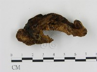 登錄號:F0006883藏品圖，第3張