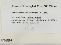 登錄號:F0006884藏品圖，第2張