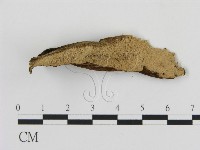 登錄號:F0006884藏品圖，第1張