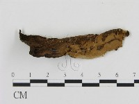 登錄號:F0006884藏品圖，第3張