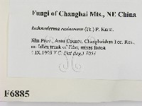 登錄號:F0006885藏品圖，第2張