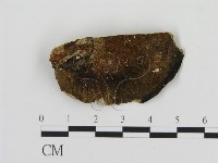 登錄號:F0006885藏品圖，第3張