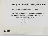 登錄號:F0006886藏品圖，第2張