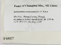 登錄號:F0006887藏品圖，第2張