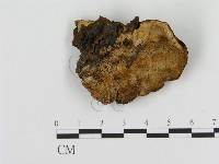 登錄號:F0006887藏品圖，第1張