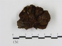 登錄號:F0006887藏品圖，第3張