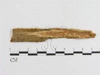 登錄號:F0006888藏品圖，第1張